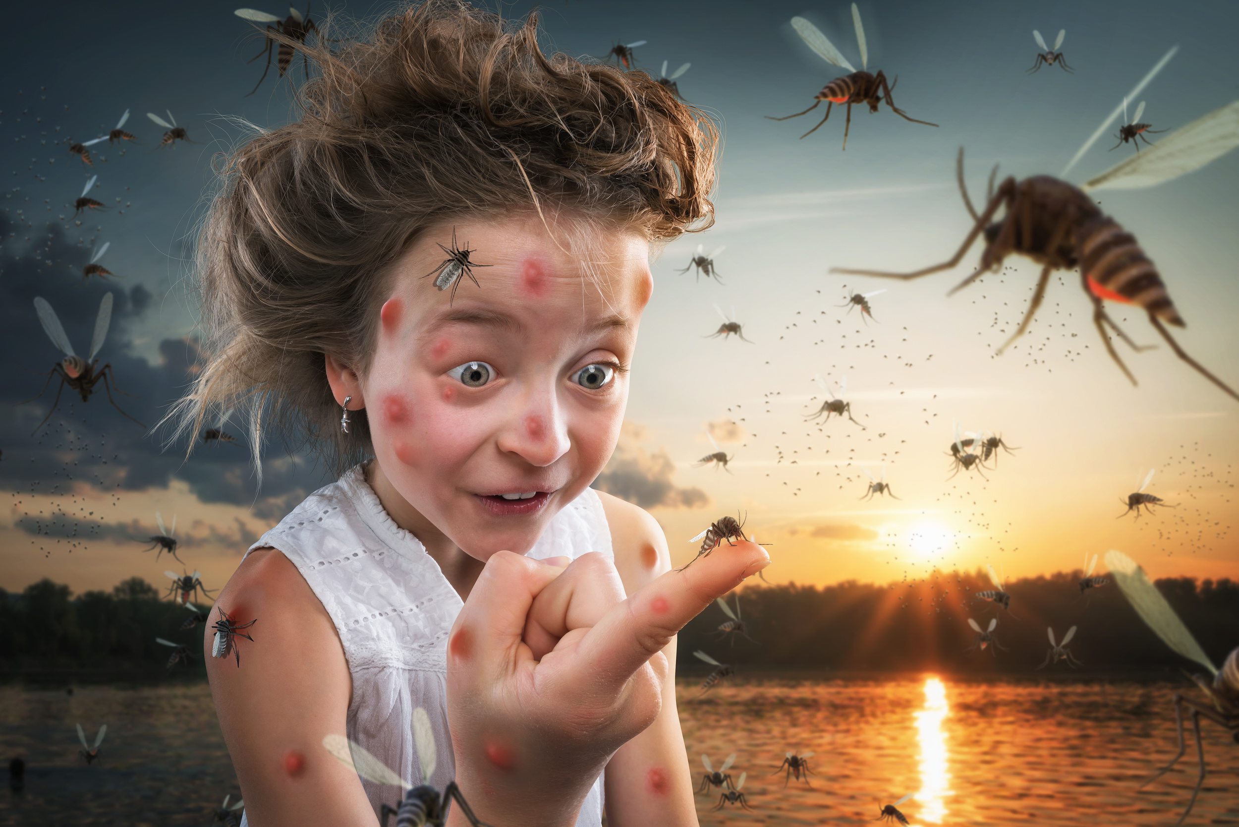 Нападение насекомых. John Wilhelm фотограф. Насекомые для детей.