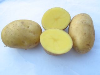 картошка филадельфия