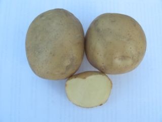 картошка воларе