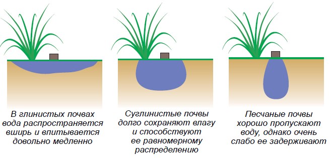 Как усилить доступ воздуха корням краткий ответ. Впитывание воды в почву. Влага в почве. Проникновение воды в почву. Водоподъемная способность почвы.
