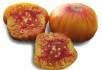 Безмежний світ помідорів: незвичайні сорти для захоплених городників 