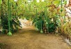 Самые необычные огороды мира: Франция