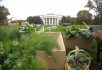 Самые необычные огороды мира: Белый Дом