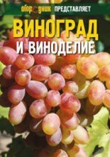 Технология выращивания винограда и виноделие