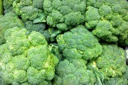 Молодильна капуста: вирощуємо цілющу і смачну броколі 