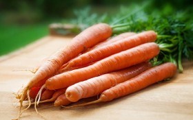 Корисні властивості моркви 