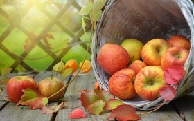 Коли хвороба – всередині: як захистити яблука від гнилі під час зберігання врожаю 