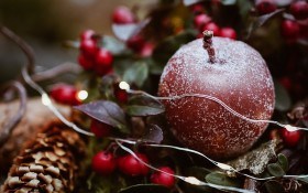 Шишки та голки: прикрашаємо будинок різдвяними декоративними композиціями 