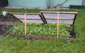 Врожай весняного сонця: найранніші овочі вирощуємо під простими укриттями 