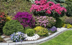 Основы гармонии: значение цветов и их сочетание в цветнике
