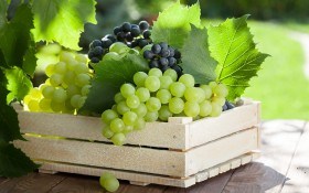 Как сохранить виноград до весны?