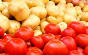 Як вберегти помідори і картоплю від хвороб і виростити гідний урожай