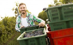 Сохраним вкус лета: эффективные способы хранения винограда