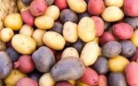 Сорта цветного картофеля: добавьте ярких красок!