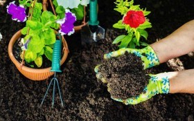 Подготовка почвы под цветники: с чего начать?