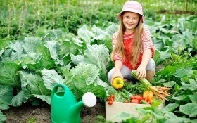 Огородный дебют: полезные советы начинающим овощеводам