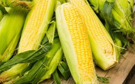 Польза кукурузы: почему инки сравнивали кукурузу с золотом?