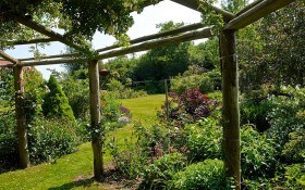 Как использовать древесину в оформлении сада?