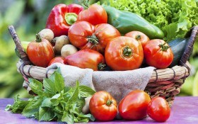 Биопрепараты для защиты растений: вкусные и полезные овощи на здоровой почве