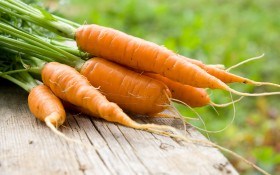 Вкусная морковка на все времена