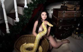 Почему змеи заползают в дома?