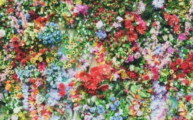 Таємна чарівність запашних квітів: як створити сад ароматів