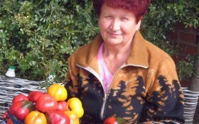 Улюблені Гогошари: досвід вирощування перцю для захоплених городників