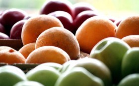 Садова аптека: які корисні речовини містяться у фруктах, ягодах та горіхах 