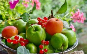 Август яблоками горд! Защитим урожай от болезней 