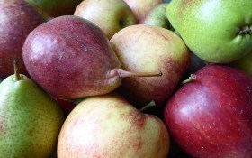 Польза яблок и груш: нормализация давления и лечение безсонницы