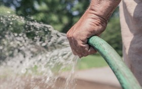 Водные процедуры: поливаем огород 