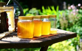 Дві ложки запашного меду: рецепти страв до Маковія 