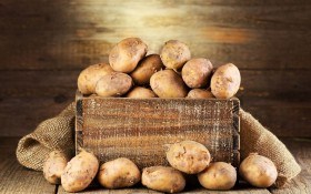 Как сохранить картофель до весны