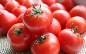 Крупноплодные сорта томатов, которые удивят вас своими размерами