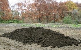 Как улучшить песчаную почву  — обогащение