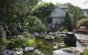 Ставок гарненький біля хати: основи облаштування штучної водойми у садибі   