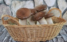 З лісового кошика: рецепти смачних страв з грибами 