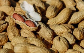 Смачний горіх земляний: особливості агротехніки арахіса 