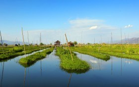 Огороды на воде: Мьянма, Мексика и Украина