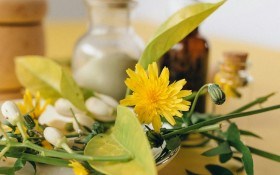 Дихайте "на повні груди": аромаванни, аромамассажі та інше застосування ефірних олій 