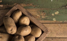 Виростити – це половина справи: правильно зберігаємо врожай картоплі 