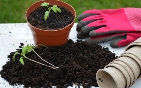 Головне – підготувати ґрунт: роботи на городі у березні 