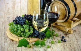 Морозоустойчивые сорта винограда  для виноделия