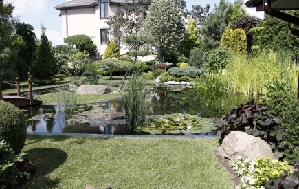 Сад мрії: досвід ландшафтного дизайнера з облаштування власного саду 