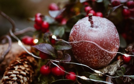 Шишки та голки: прикрашаємо будинок різдвяними декоративними композиціями 
