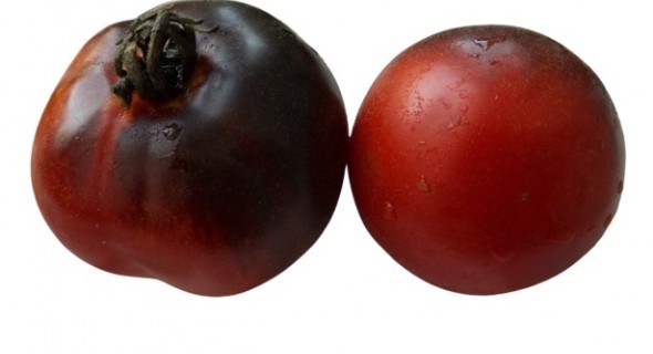 Оксамитова грядка: сорти помідорів з опушенням плодів   