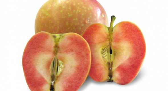 Перлина серед яблук: сорт Pink Pearl з червоною м'якоттю 