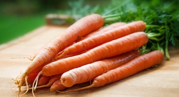 Корисні властивості моркви 