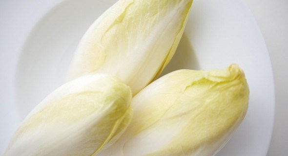  Білий та хрусткий: цикорний салат вітлуф для зимової вигонки 