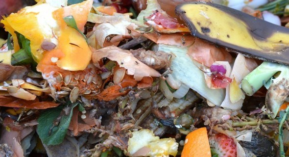 Економічно вигідно: як переробляти харчові залишки у органічне добриво 